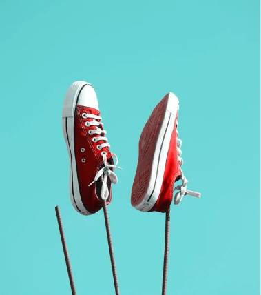 Responsibility  and sustainability at WL