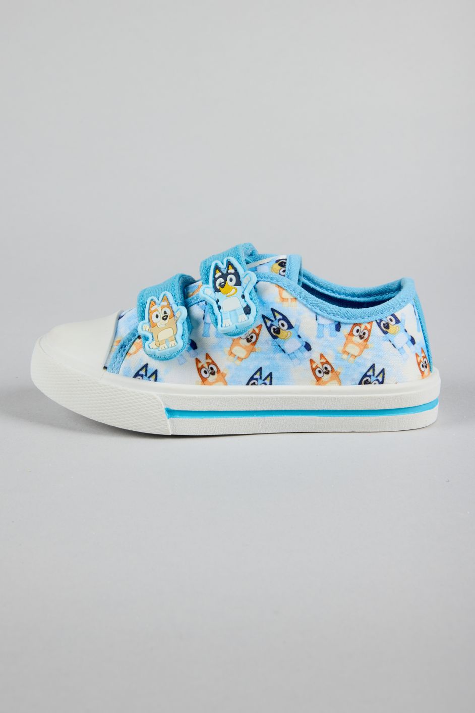 BLUEY ALDO CANVAS