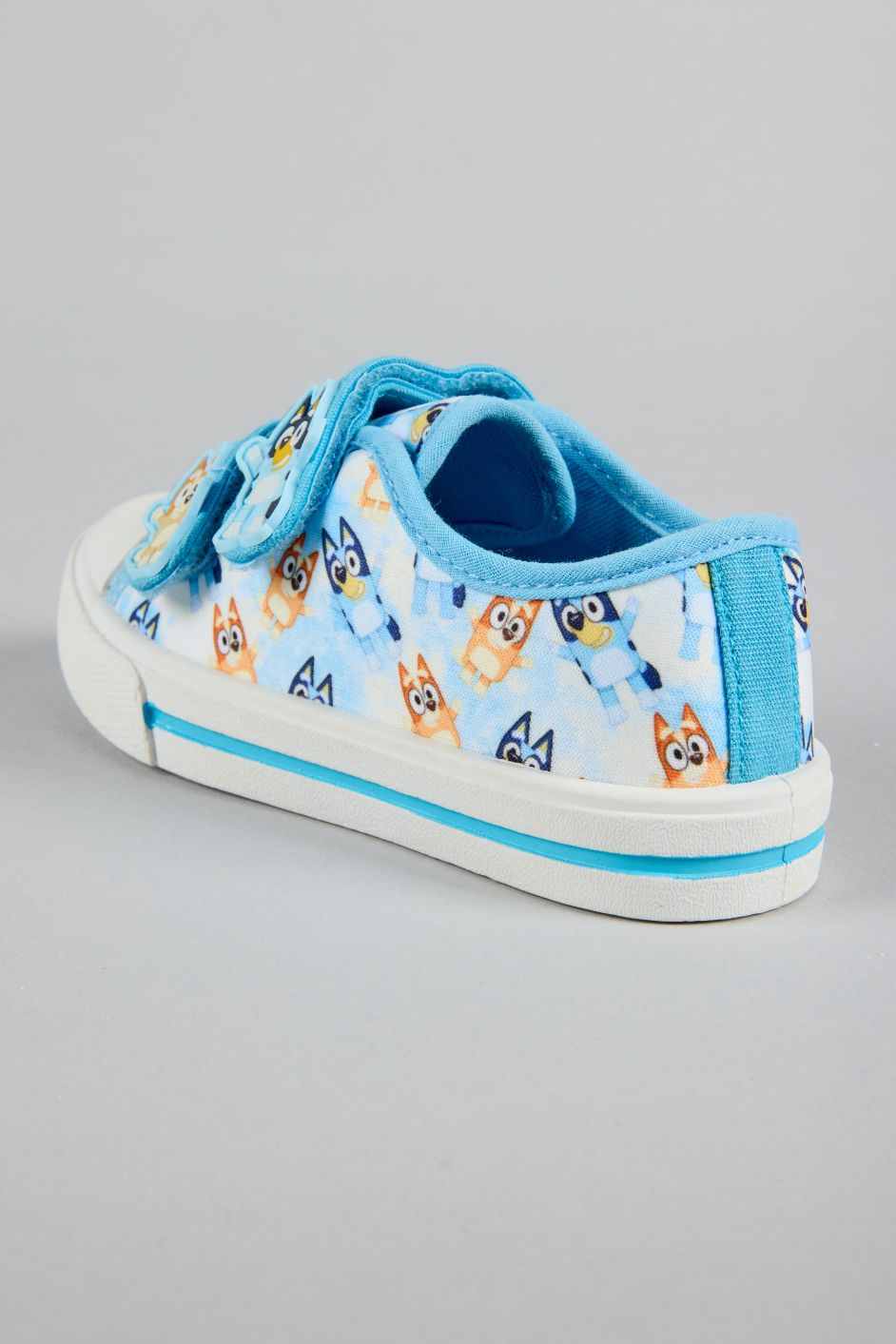 BLUEY ALDO CANVAS