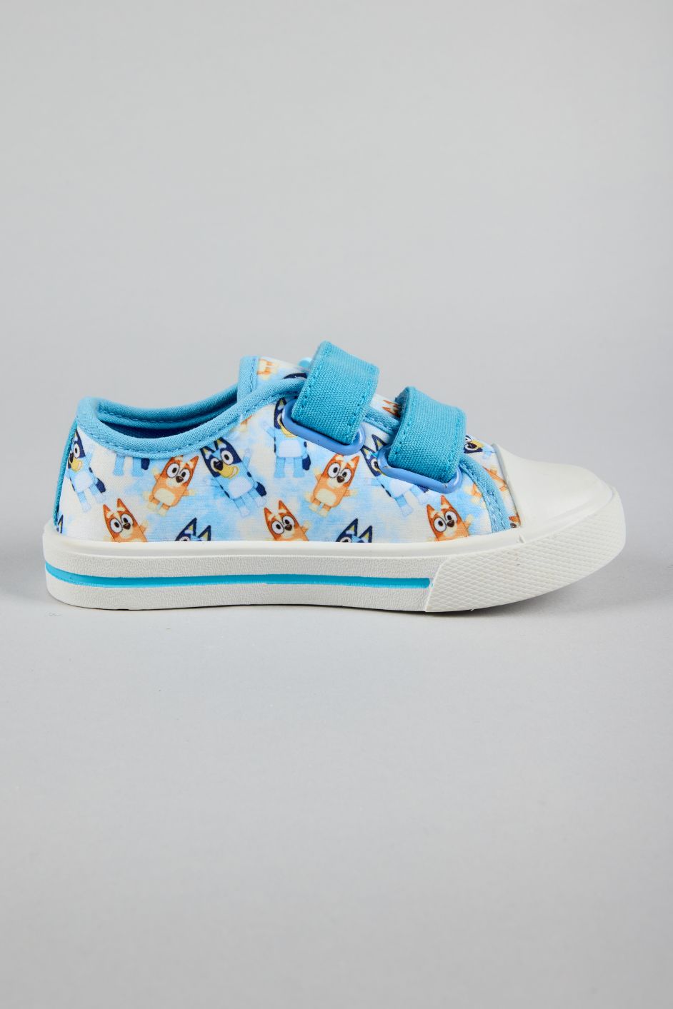 BLUEY ALDO CANVAS